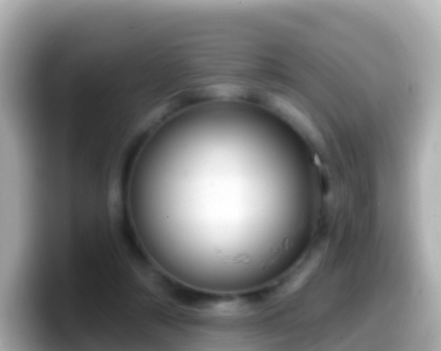 X0000099580306200805231556