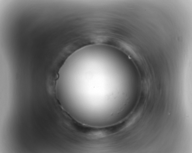 X0000099580307200805231556