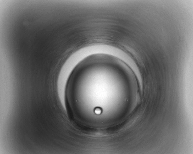 X0000099580308200805231556