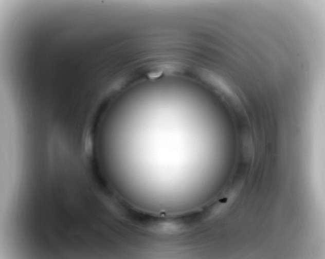 X0000099580310200805231556