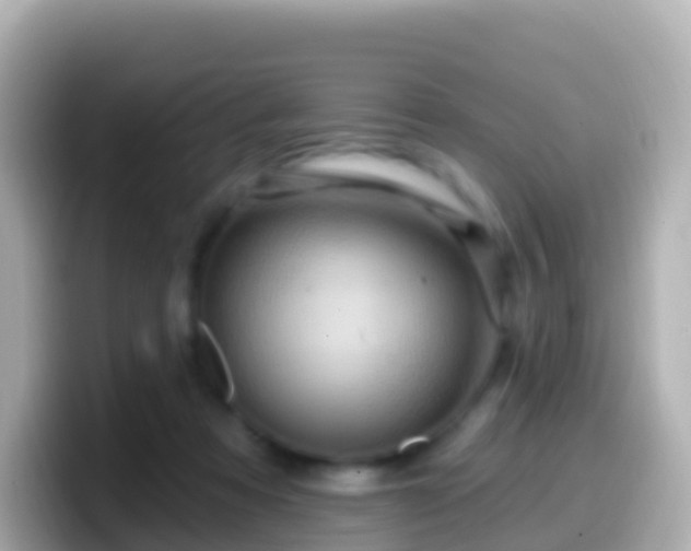 X0000099580313200805231556