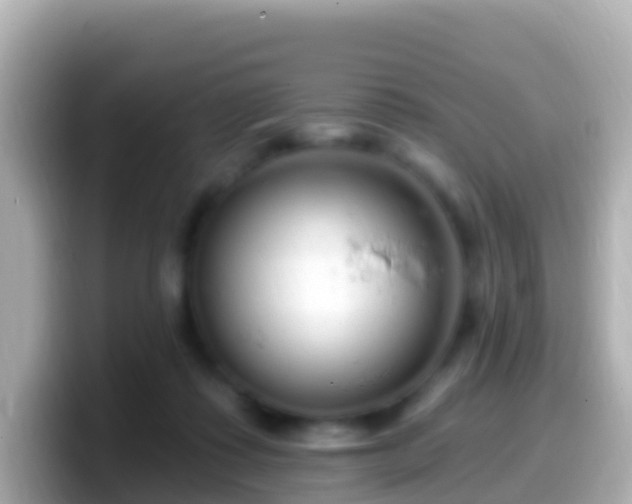 X0000099580315200805231556