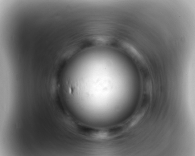 X0000099580318200805231556