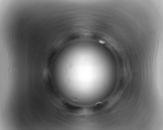 X0000099580320200805231556