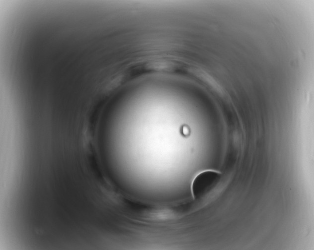 X0000099580322200805231556