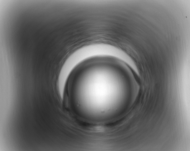 X0000099580324200805231556