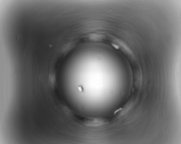 X0000099580329200805231556