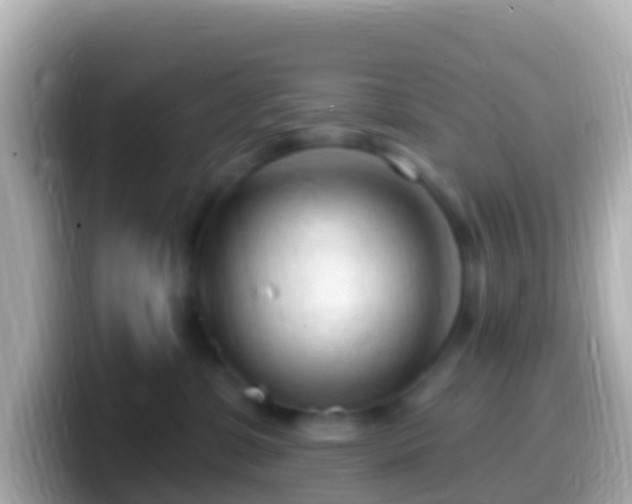 X0000099580331200805231556