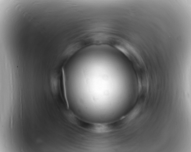 X0000099580333200805231556