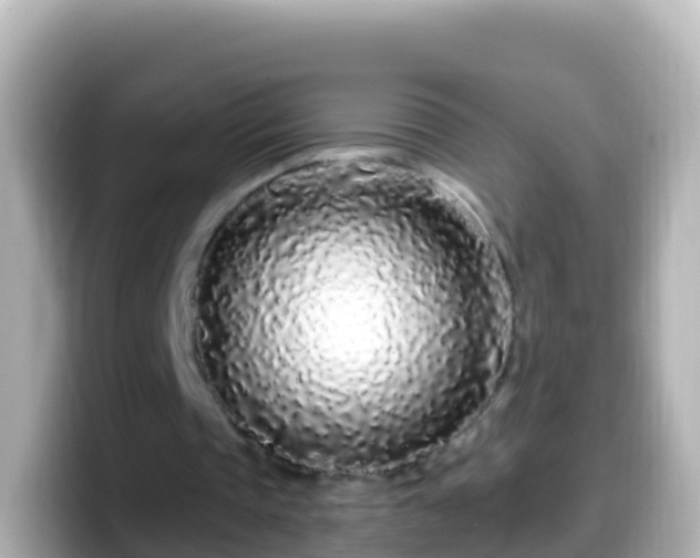 X0000099580337200805231555
