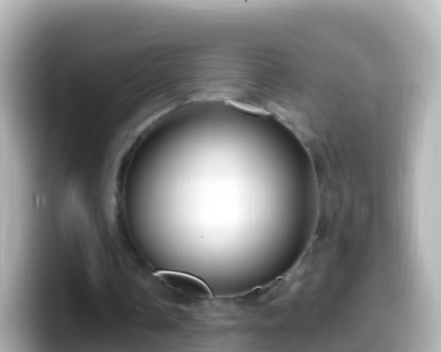X0000099580338200805231555