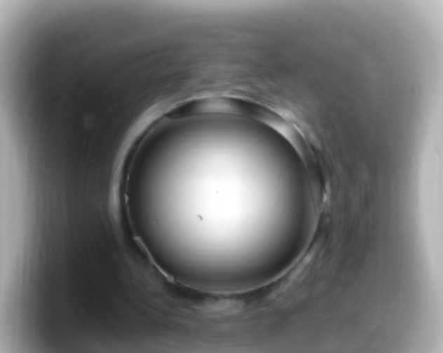 X0000099580340200805231555