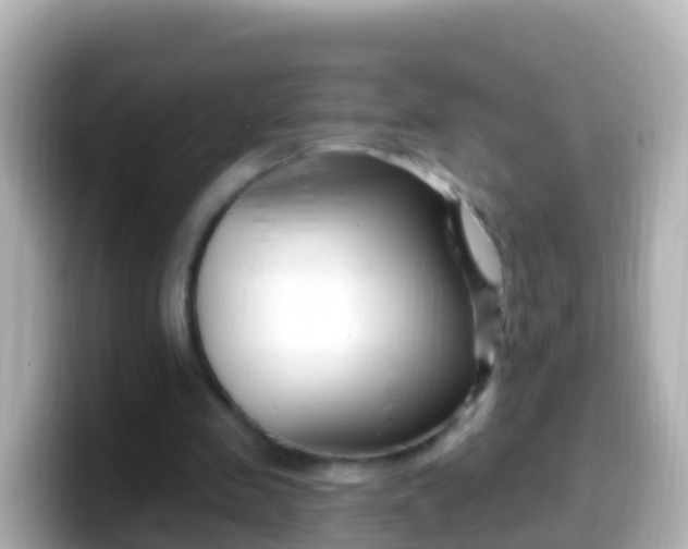 X0000099580341200805231555