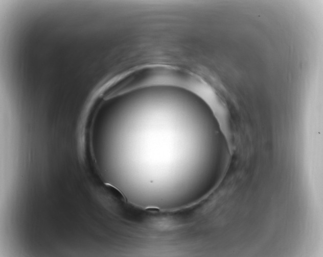 X0000099580344200805231555