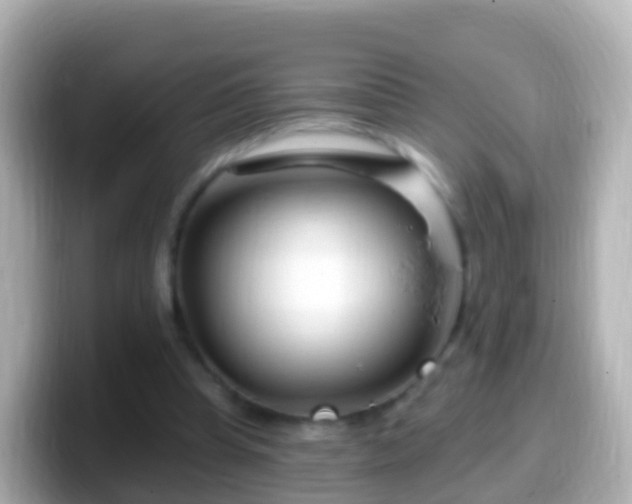 X0000099580345200805231555
