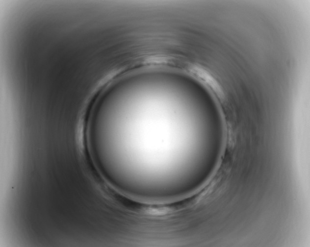 X0000099580346200805231555