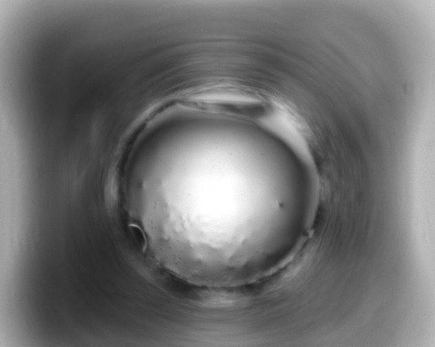 X0000099580347200805231555