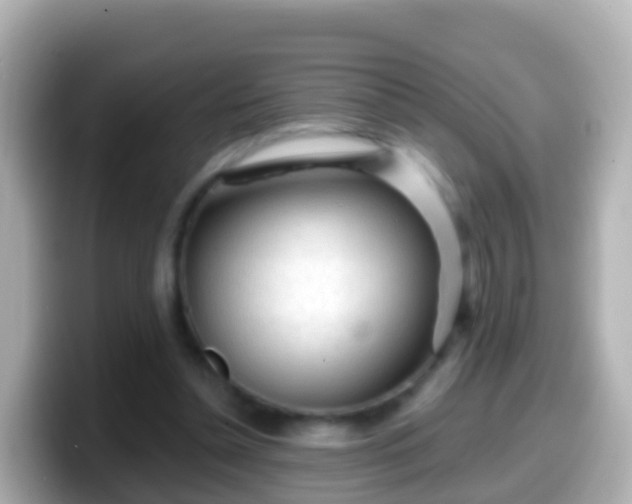 X0000099580348200805231555