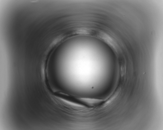 X0000099580349200805231555