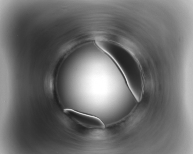X0000099580350200805231555