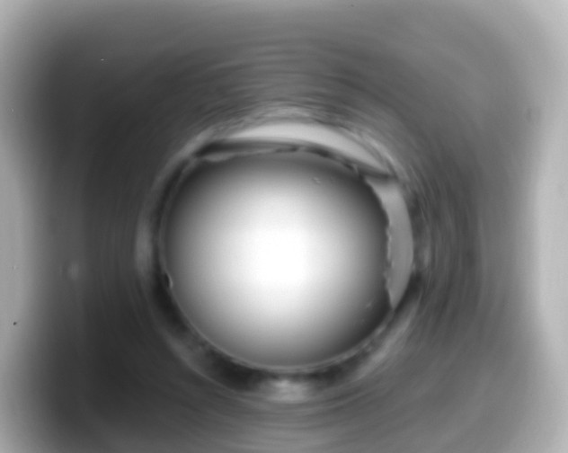 X0000099580352200805231555