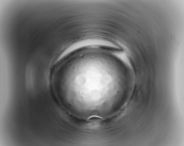 X0000099580353200805231555