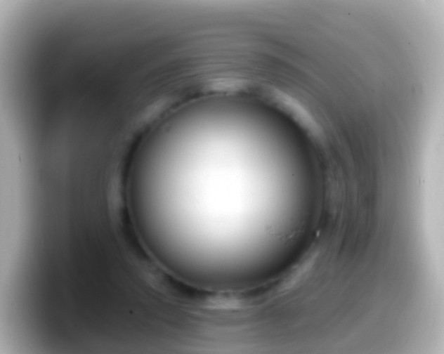 X0000099580354200805231555