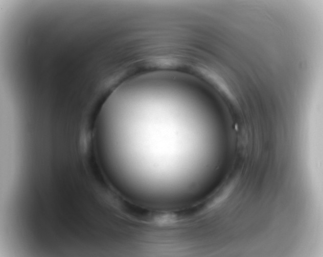 X0000099580355200805231555