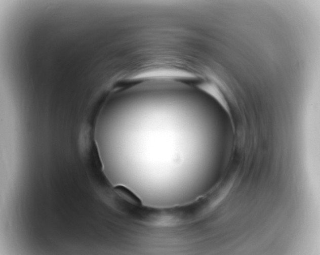 X0000099580356200805231555
