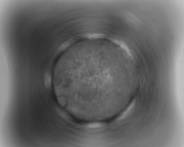 X0000099580357200805231555