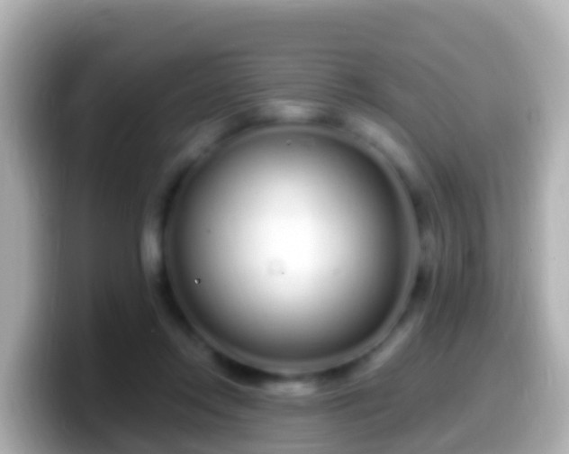 X0000099580358200805231555