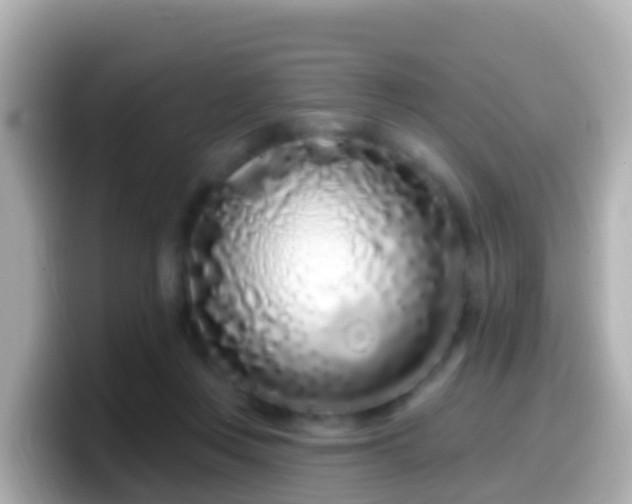 X0000099580359200805231555