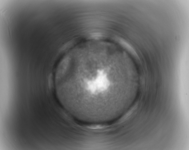 X0000099580361200805231555