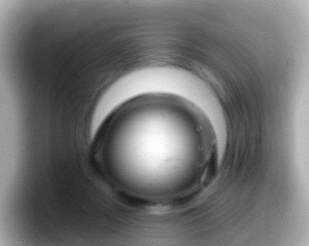 X0000099580362200805231555