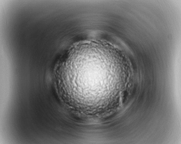 X0000099580363200805231555