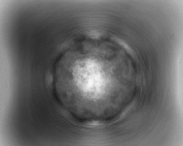 X0000099580365200805231555