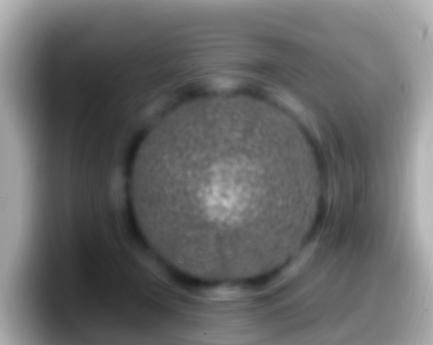 X0000099580366200805231555