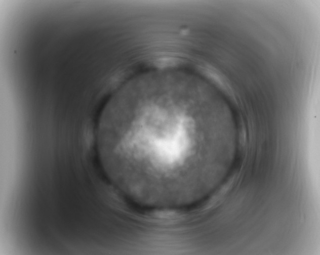 X0000099580367200805231555