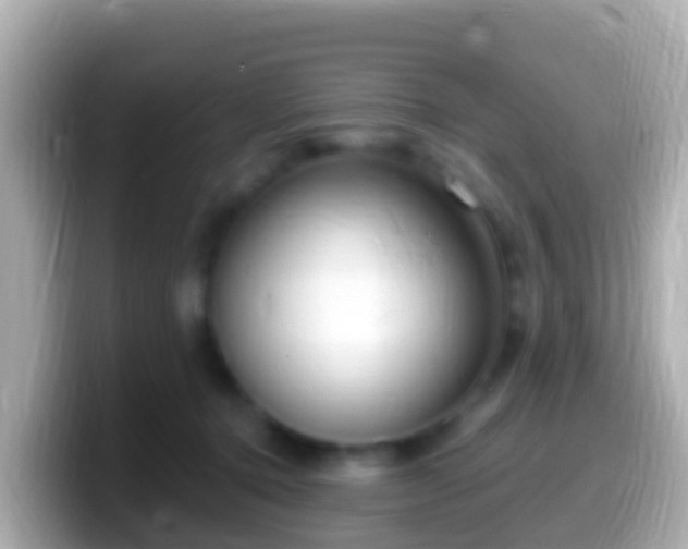 X0000099580368200805231555