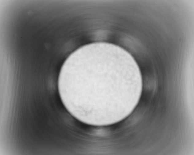 X0000099580370200805231555