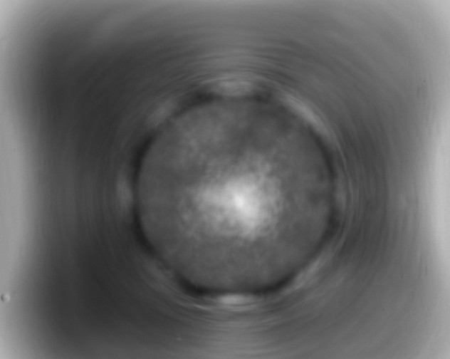 X0000099580371200805231555