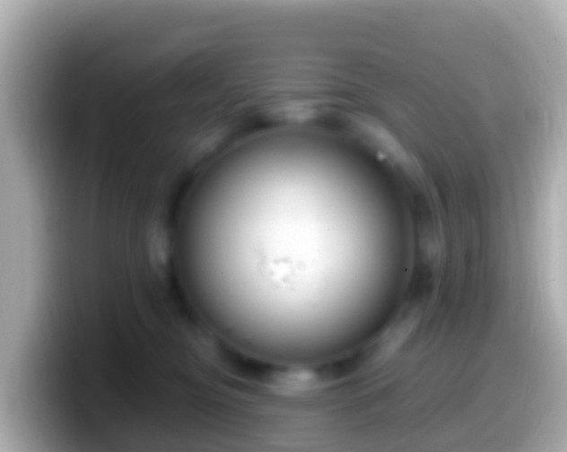 X0000099580374200805231555