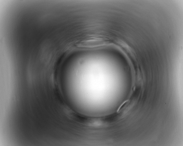 X0000099580377200805231555
