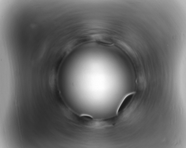 X0000099580379200805231555