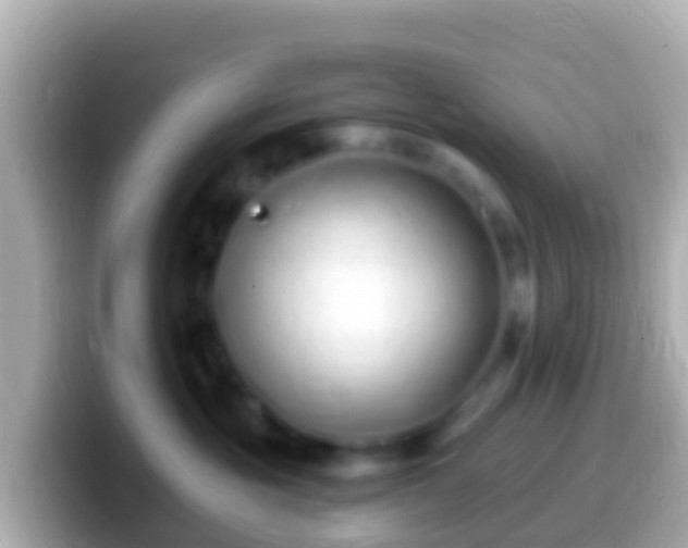 X0000099580381200805231555