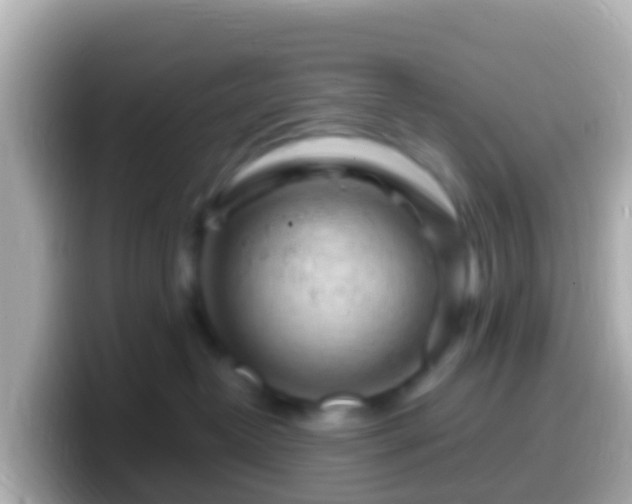 X0000099580382200805231555
