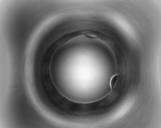 X0000099580383200805231555