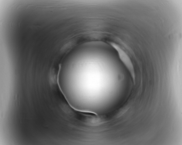 X0000099580384200805231556