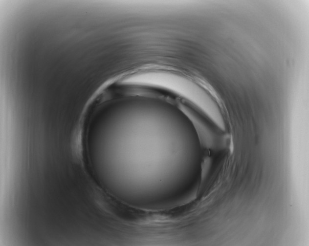 X0000099580387200805231555