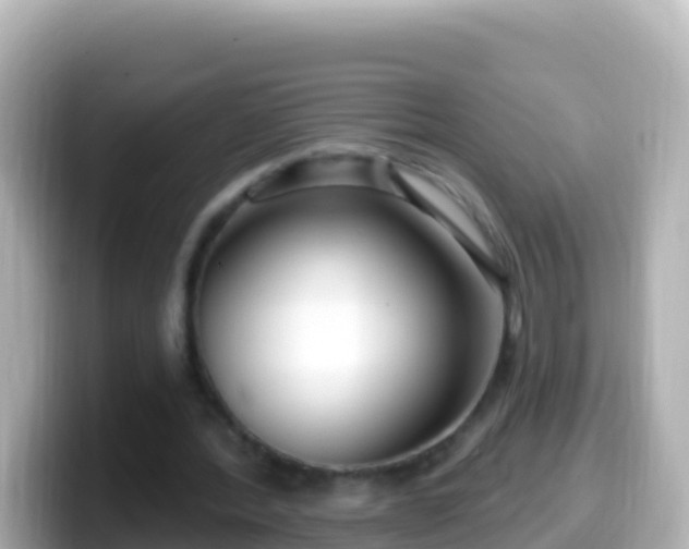 X0000099580388200805231555